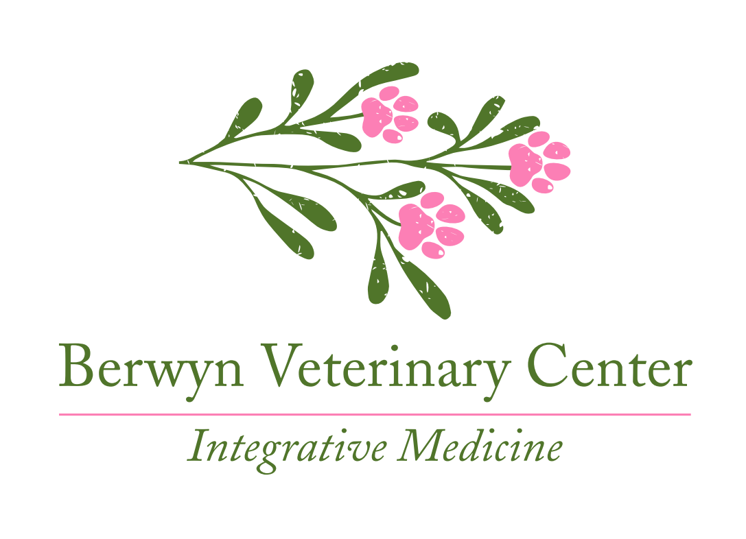 berwyn-veterinary-center-berwyn-pa-files-pdf-or-other